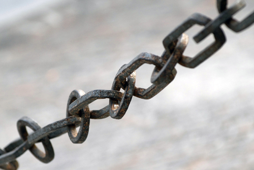 Links (Foto: M.Mormile).